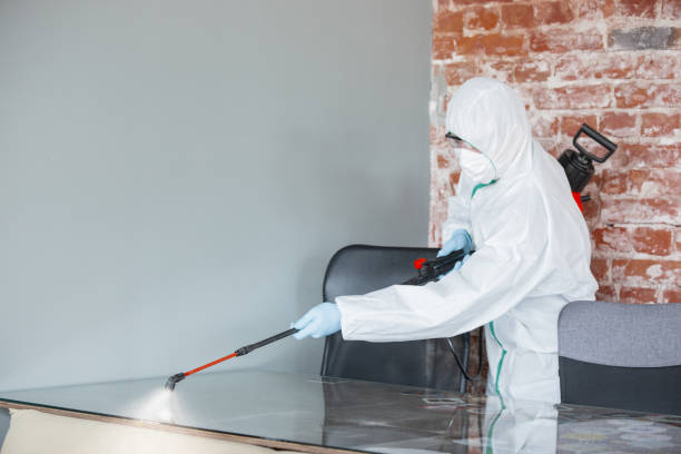 Best Mold Damage Restoration  in USA